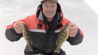 How to Ice Fish for Perch  Ice Fishing Jigging Tips and Tricks [upl. by Llegna800]