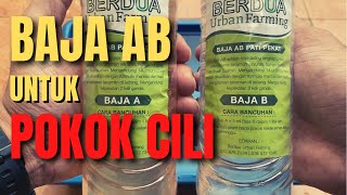 Cara bancuh baja AB pokok cili beli dari Shopee [upl. by Oneladgam400]