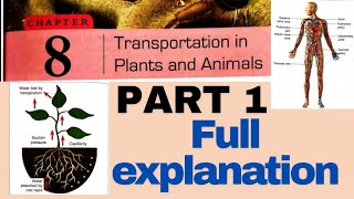 CHAPTER 8 TRANSPORTATION IN PLANTS ☘️ AND ANIMALS 🐍  CLASS 07 DAV SCIENCE  PART 1 FULL EXPLANATION [upl. by Alaik]