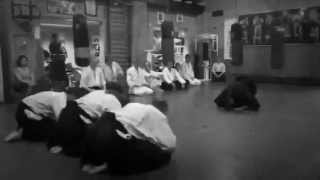 Aikido  Randori [upl. by Naujit]