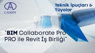 BIM Collaborate PRO ile Revit İş Birliği [upl. by Yennor423]