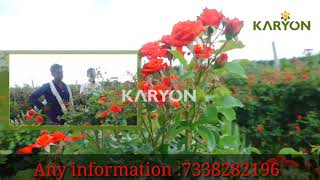 KARYON ORGANIC FARMING IN KANNADA  ROSE flowers 7338282196 [upl. by Nnylatsirk]