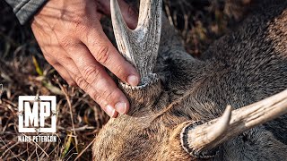 Hunting Queensland Australia for Hog Deer and Black Buck  Mark V Peterson Hunting [upl. by Koziel]