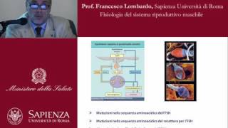 Fisiologia del sistema riproduttivo maschile [upl. by Clemmie864]