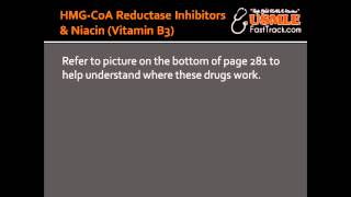 HMGCoA Reductase Inhibitors Statin Drugs amp Niacin Vitamin B3 [upl. by Hobie915]