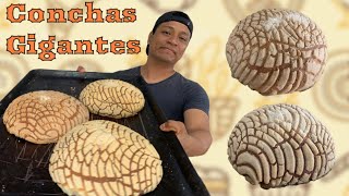 Las CONCHAS GIGANTES de mantequilla más fáciles de hacer proceso artesanal [upl. by Addi307]