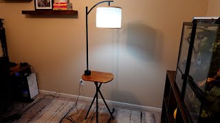 ROTTOGOON Floor Lamp Review  Amazon Home Finds [upl. by Arualana]