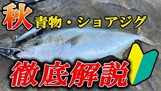 【知らないのはNG】秋のショアジギング・青物狙いで釣果を確実にするための要点や基礎基本 [upl. by Perrine]