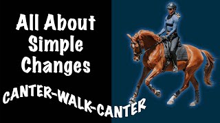 How to do Simple Changes CanterWalkCanter [upl. by Ubald]