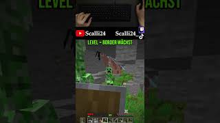 Was macht man in so einer Situation Ernst gemeinte Frage minecraft gaming memes [upl. by Marka]