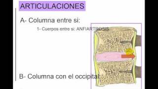 COLUMNA 5 [upl. by Deutsch]