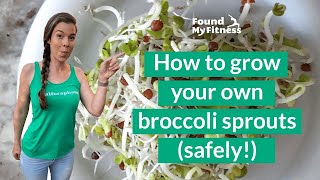 How to Grow Broccoli Sprouts [upl. by Namwob572]