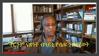 Teddy Press  Yosief Gebrehiwot  ትርጉም ናጽነት ብዓይኒ ዮሴፍ ገብረሂወት [upl. by Tezil751]