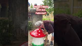 Hoeveel stippen denk jij 🍄duinrell pretpark [upl. by Nosrej341]