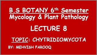 Chytridiomycota by Mehvish Farooq [upl. by Stephan]