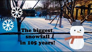 Record breaking snow in SHENYANG CHINA  China vlog  Heaviest snowfall in 105 years  Shenyang [upl. by Mauricio]