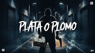 Plata O plomo Plomo Song  Sector 87 [upl. by Ashwell]