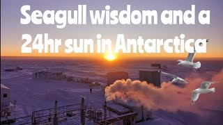 Seagull Wisdom and a 24hr sun in Antarctica [upl. by Gaal]