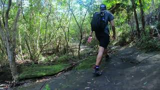 Solo Hike in Sydney  The Great North Walk [upl. by Aivatan]