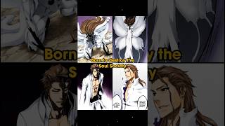 Yokoso watashi no soul society bleach [upl. by Nirro610]