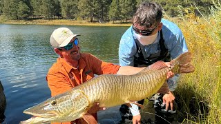 Colorados Most Epic Fishing Adventures [upl. by Malinin804]