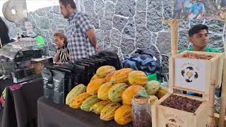 festival del chocolate y cacao en museo Anahuacalli 2024 [upl. by Earla]