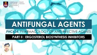 Antifungal agents Azoles Allylamines Griseofulvin and Flucytosine [upl. by Nevah]