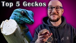 Top 5 BEST Pet Geckos [upl. by Condon]