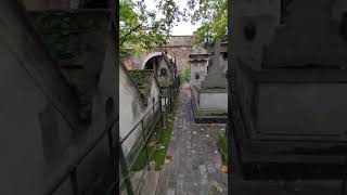 ASMR walk in Graveyard  Headstone Crow cry Cimetière de Montmartre Montmartre Cemetery S683✝️ [upl. by Yevreh]