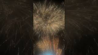 Wall of willow firework [upl. by Axela]