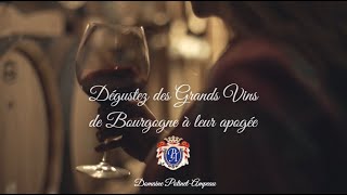 Domaine PotinetAmpeau des Grands Vins de Bourgogne à leur apogée [upl. by Maisey]