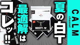 【白T】【HANES】夏本番！白TはヘインズビーフィーTが最適解だった！毎日着れる＆1枚着で雰囲気でる！夏のTシャツ悩まなくて済む！！ [upl. by Greenfield]