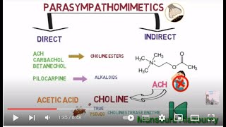 parasympathomimetic drugs acetylcholine cholinergic receptors شرح فارما مبسط 💊 [upl. by Clair134]