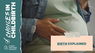 Birth Explained  Choices in Childbirth [upl. by Bolton804]