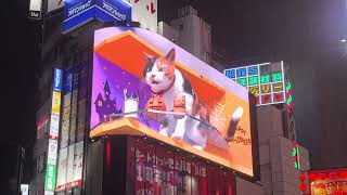 Shinjuku cat 2024 Halloween ver [upl. by Nicolina]