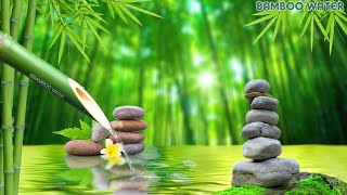 Bamboo Water Fountain  Best Relaxing Piano Music  Healing Water Sounds [upl. by Irihs]