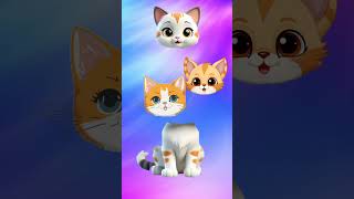 Sab jhum jhum ke chouse cat had music trending viralvideo shortsfeed [upl. by Yendic]