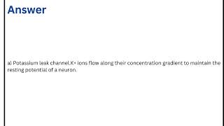 Which channel is mainly responsible for the resting potential of a neuron [upl. by Alpers]