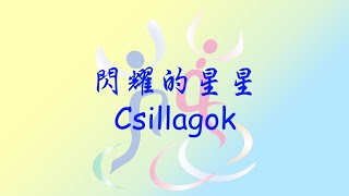 Csillagok Hungary 閃耀的星星 匈牙利 [upl. by Crescen778]