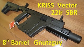 Worth buying Review KRISS Vector 22lr SBR 8quot barrel [upl. by Stefan253]