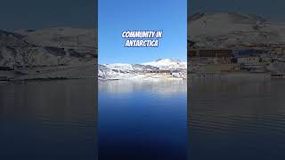 McMurdo Sound in Antarctica Community lofi antarctica [upl. by Derej696]