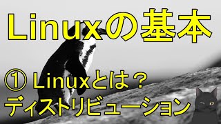 【丁寧に学ぶLinux入門】 ①Linuxとは？ ディストリビューション（Ubuntu RedHat CentOS Devian） [upl. by Weber]