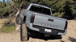 1300 MILE ROAD TRIP TO COLORADO CONEY FLATS AND MIDDLE ST VRAIN TRAILS IN 3RD GEN TACOMA PART 1 [upl. by Onitselec]