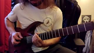 Slimelord  BrainGut Axis Solo cover by Saileh [upl. by Ellednahs687]