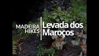 Madeira Hikes Levada dos Maroços [upl. by Travus]