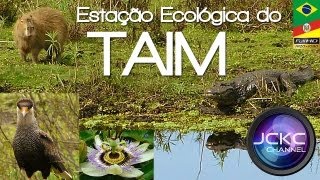 Taim  Reserva Ecológica  Estação Ecológica  RSBrasil  Taim Ecological Station [upl. by Aileduab761]