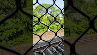 Trien railway crossing reels viralvideo shorts [upl. by Ailen509]