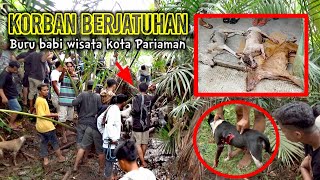 TRAGIS❗SERANGAN BALIK BABI HUTAN GUGURKAN TIGA EKOR ANJING PEMBURU  Buru Babi Wisata Kota Pariaman [upl. by Akerdal]