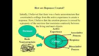 Part 2 StimulusResponseReinforcement [upl. by Goldsworthy]