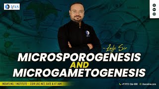 MICROSPOROGENESIS amp MICROGAMETOGENESIS [upl. by Anileva237]